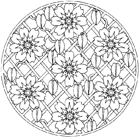 Mandala 25